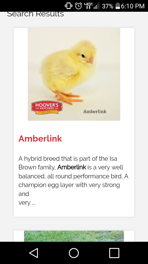 IMG This is one of the hatcheies that the Roanoke Tsc gets their chicks from.
